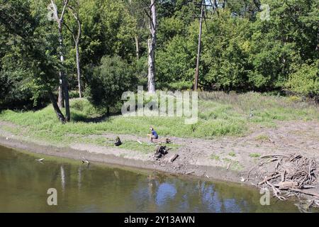 Person, die auf einem Holzstamm sitzt und ein Fahrrad im Hintergrund am Ufer des Plaines River in Iroquois Woods, Park Ridge, Illinois Stockfoto