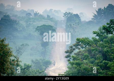 Straße von Taña nach Lancetillo, feuchter Wald, Sierra de los Cuchumatanes, Quiche, Republik Guatemala, Mittelamerika. Stockfoto