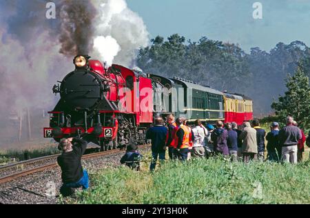 Dampfeisenfreunde fotografieren um 1998 zwei Lokomotiven der M-Klasse, die Wagen an Western Junction in Tasmanien, Australien, gezogen haben. Die Frontlok MA2 wurde 1951 von Robert Stephenson & Hawthorns Ltd. In Newcastle gebaut 7421 und war eine von 10, die von der tasmanischen Regierung in Auftrag gegeben wurden. Stockfoto