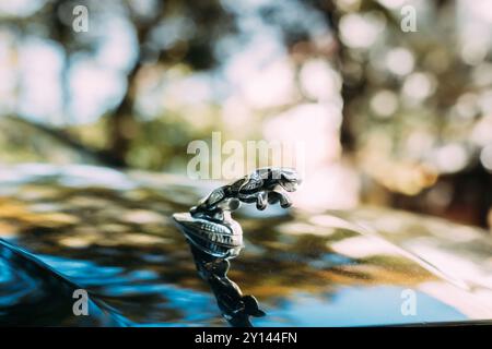 Tiflis, Georgien. Nahaufnahme des Logotyps des Jaguar XJL XJ auf der Motorhaube. Beim Jaguar XJ handelt es sich um eine Serie mittelgroßer Luxuswagen, die von hergestellt werden Stockfoto