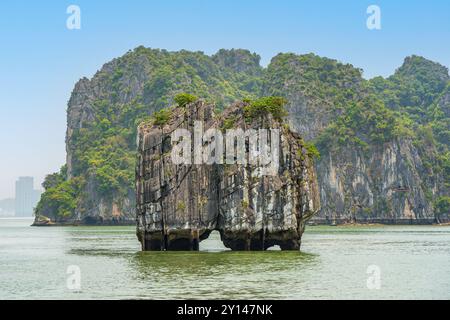 Dinh Huong Islet in Ha Long Bay, Quang Ninh, Vietnam. Stockfoto