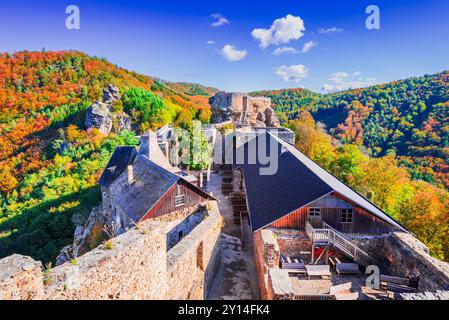 Burg Aggstein, Österreich. Herbstfarben Landschaft mit Burgruine, Wachau Tal an der Donau. Stockfoto
