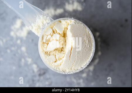 Draufsicht der Schaufel mit Sporternährung, Protein, Kreatin, Gainer als weißes Pulver auf grauem Hintergrund Stockfoto