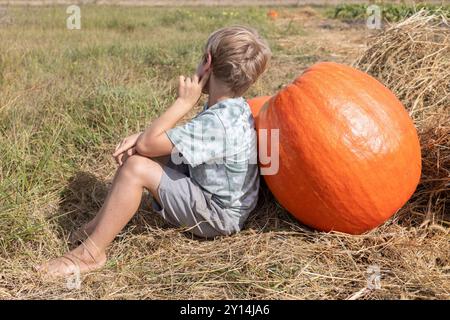 Barfuß-Kind sitzt an einem sonnigen Tag auf einem Bauernfeld in der Nähe eines großen orangefarbenen Kürbis. Ein Junge hilft, die saisonale Ernte zu sammeln. Entspannen Sie in der Natur. Choo Stockfoto