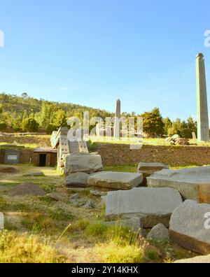 Äthiopien, Axum, Stadt in der Region Tigray, die Tausend Stelen in Axum geehrten den verstorbenen Herrschern und Adligen der Stadt Stockfoto