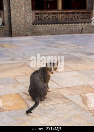 Innenhof der Medrassa El Bouanania in Fes Stockfoto