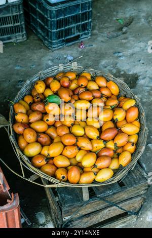 Tomaten, La Taña, Reyna Zone, Uspantan Departement, Guatemala, Mittelamerika. Stockfoto