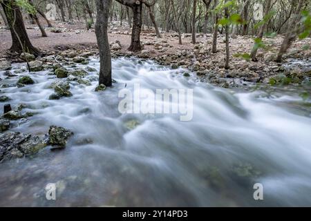 Fonts Ufanes Naturdenkmal, Gabellí Petit Anwesen, Campanet, Mallorca, Balearen, Spanien. Stockfoto