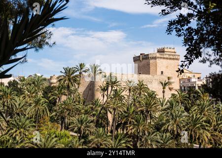 Altamira Palast, Palmenhain von Elche, UNESCO-Weltkulturerbe, Valencianische Gemeinschaft, Spanien. Stockfoto