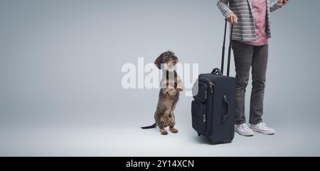 Frau, die in Urlaub geht und mit einem Trolley-Koffer geht, ihr Hund ist traurig und starrt sie an, sie lässt ihr Haustier allein zu Hause Stockfoto