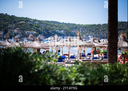 28.08.2024 - Sommer auf Mallorca: Urlauberinnen und Urlauber am Strand in Port de Soller. , *** 28 08 2024 Sommer auf Mallorca Urlauber am Strand von Port de Soller , Stockfoto