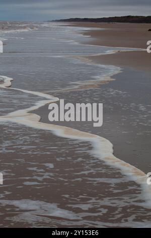 Sind es Meeresschaum Meeresalgen oder Abwasser? East Yorkshire Coast Stockfoto