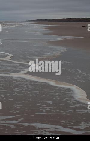 Sind es Meeresschaum Meeresalgen oder Abwasser? East Yorkshire Coast Stockfoto