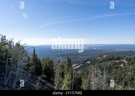 Atemberaubende Aussicht vom Gipfel des Mt. Washburn mit Blick auf den Yellowstone-Nationalpark. Stockfoto