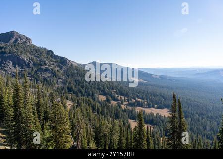 Atemberaubende Aussicht vom Gipfel des Mt. Washburn mit Blick auf den Yellowstone-Nationalpark. Stockfoto