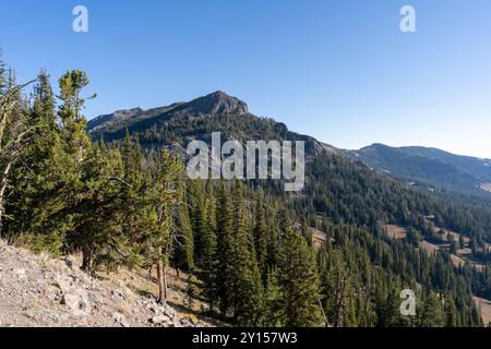 Atemberaubende Aussicht vom Gipfel des Mt. Washburn mit Blick auf den Yellowstone-Nationalpark. Stockfoto