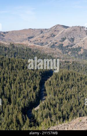 Atemberaubende Aussicht vom Gipfel des Mt. Washburn mit Blick auf den Yellowstone-Nationalpark. Stockfoto