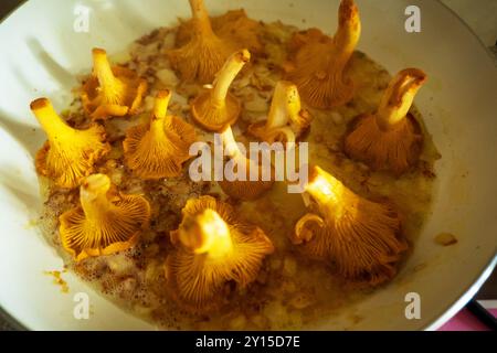 Cantharellus gebraten, kleine kulinarische Köstlichkeiten, essen Sie, was die Natur uns schenkt. Stockfoto