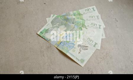 Rumänische Banknoten in Stückelungen von einem Leu sind auf einer Betonoberfläche verteilt und zeigen Details zur nationalen Währung. Stockfoto