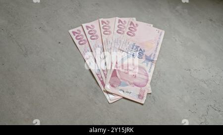 Türkische Lira-Banknoten wurden auf einer Betonoberfläche aufgefächert und bieten einen klaren Blick auf die Währung mit lebendigen Details vor dem strukturierten Hintergrund. Stockfoto