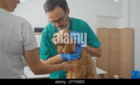 Ein hispanischer Tierarzt mittleren Alters untersucht einen Pudel in einem hell beleuchteten Klinikraum. Stockfoto