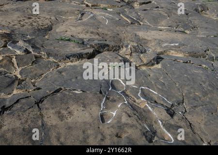 Dinosaurierspuren, die Peladillo-Ära-Ichnites-Deponie, Igea, La Rioja, Spanien, Europa. Stockfoto