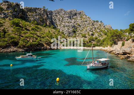 Freizeitboote, die auf türkisfarbenem Wasser ankern, Cala Murta, Pollenca, Mallorca, Balearen, Spanien. Stockfoto