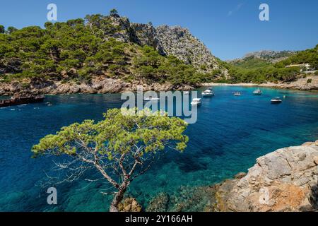 Freizeitboote, die auf türkisfarbenem Wasser ankern, Cala Murta, Pollenca, Mallorca, Balearen, Spanien. Stockfoto