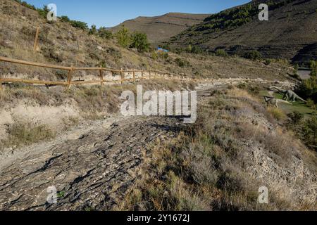 Dinosaurierspuren, Valdecevillo Site, Enciso, La Rioja, Spanien, Europa. Stockfoto