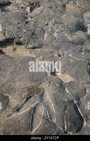 Dinosaurierspuren, die Peladillo-Ära-Ichnites-Deponie, Igea, La Rioja, Spanien, Europa. Stockfoto