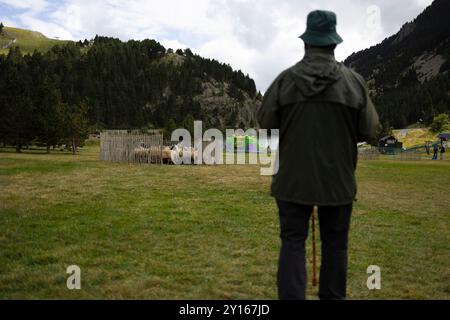 Hilari Novillo bei Sant Gil Festivity Schäferhundeschau. Vall de Núria (Pyrenäen), Queralbs, El Ripollès, Girona, Katalonien, Spanien. Stockfoto