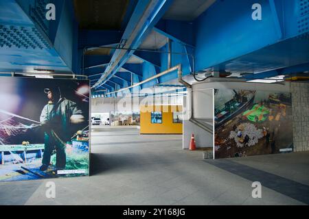 Sokcho City, Südkorea - 28. Juli 2024: Wandmalereien, die die lokale Fischereiindustrie darstellen, schmücken die Unterseite einer Brücke im Dorf Abai, Sokcho, ce Stockfoto