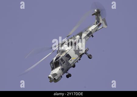 Das Black Cats Display Team beim International Air Tattoo 2024. Stockfoto