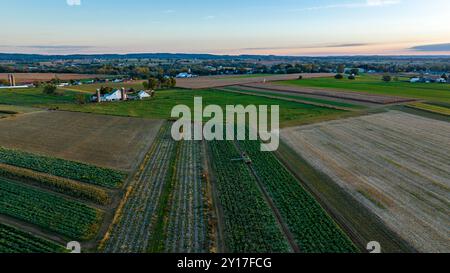 Diese Luftperspektive fängt eine riesige Fläche von Ackerland mit verschiedenen Kulturabschnitten vor einem atemberaubenden Sonnenuntergang ein und unterstreicht die Schönheit der ländlichen Landwirtschaft. Stockfoto