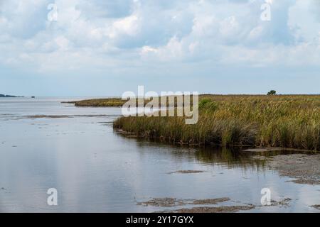 Marsh Area im Meereswaldgebiet Currituck Banks Estuaine in den Outer Banks von North Carolina Stockfoto