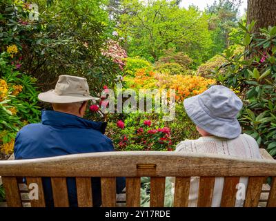Älteres Ehepaar auf einer Holzbank mit Sonnenhüten, die einen Garten voller Rhododendronpflanzen bewundern. Stockfoto