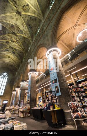 Das Innere der Dominikanerkirche wurde in einen Buchladen umgewandelt. Kathedraldecken und Säulen der Kirche in Maastricht Stockfoto