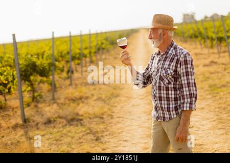 Der Hausmeister hält ein Glas tiefen Rotweins und lächelt, während er zwischen den Reihen von Weinreben steht, die vom sanften Leuchten der untergehenden Sonne beleuchtet werden Stockfoto