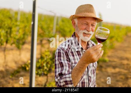 Der Hausmeister hält ein Glas tiefen Rotweins und lächelt, während er zwischen den Reihen von Weinreben steht, die vom sanften Leuchten der untergehenden Sonne beleuchtet werden Stockfoto