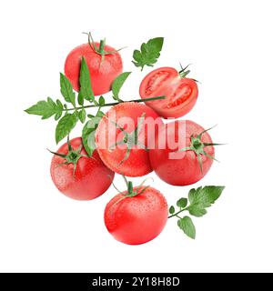 Frische Tomaten mit grünen Blättern in der Luft auf weißem Hintergrund Stockfoto