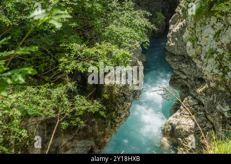 Ein lebhafter blauer Soca-Fluss schlängelt sich durch einen engen Canyon, der von hohen Felswänden und dichtem Laub unter klarem Himmel umgeben ist. Stockfoto