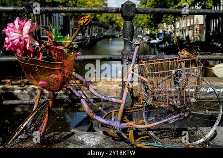 Amsterdam , Niederlande. September 2020. Altes kaputtes Fahrrad mit Blumenschmuck auf dem Geländer einer Brücke mit Blick auf einen Kanal Stockfoto