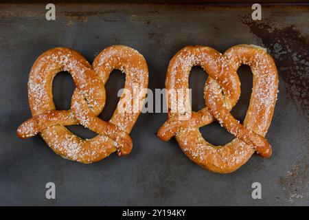 Zwei große Sauerteig Brezeln auf ein Backblech legen. Die gesalzene Snacks sind Seite an Seite im Querformat. Stockfoto