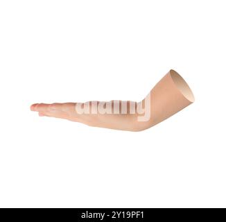 Flache Palme, Hand hält etwas, offene Geste isoliert auf weißem Hintergrund. Stockfoto