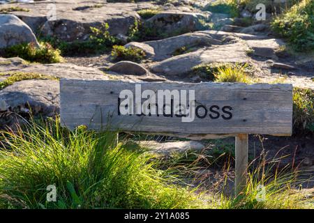 Dynjandisvogur, Arnarfjörður, Westfjorde, Westfjorde, Vestfirðir, Isländisch, Dynjandi Stockfoto