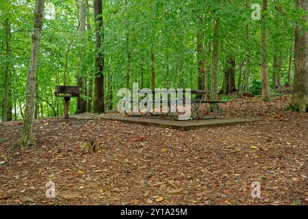 Picknicktisch aus Metall auf einer Zementplatte auf einem Hügel im Waldteil des Parks mit einem Grill im Freien, umgeben von gefallenen Blättern auf dem Boden i Stockfoto