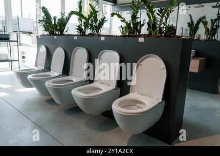 Modernes Badezimmer mit modernen wandmontierten Toiletten und Innenbegrünung. Stockfoto