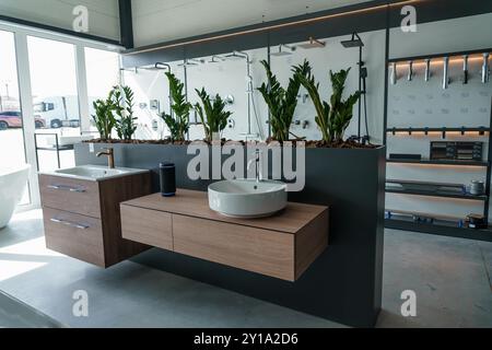 Modernes Badezimmer, Showroom mit eleganten Einrichtungsgegenständen und Grün. Stockfoto