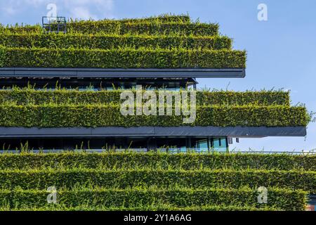Grüne Fassade, bestehend aus über 30.000 Hainbuken, die eine 8 Kilometer lange Hecke auf dem Dach und der Fassade des Kö-Bogen-2-Gebäudes bilden, Techniker, Stockfoto