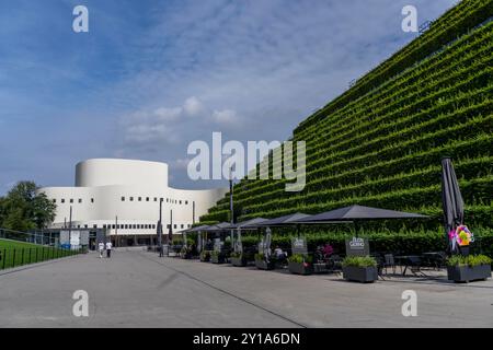 Grüne Fassade, bestehend aus über 30.000 Hainbuken, die eine gut 8 Kilometer lange Hecke auf dem Dach und der Fassade des Kö-Bogen-2 Gebäudes, der La, bilden Stockfoto